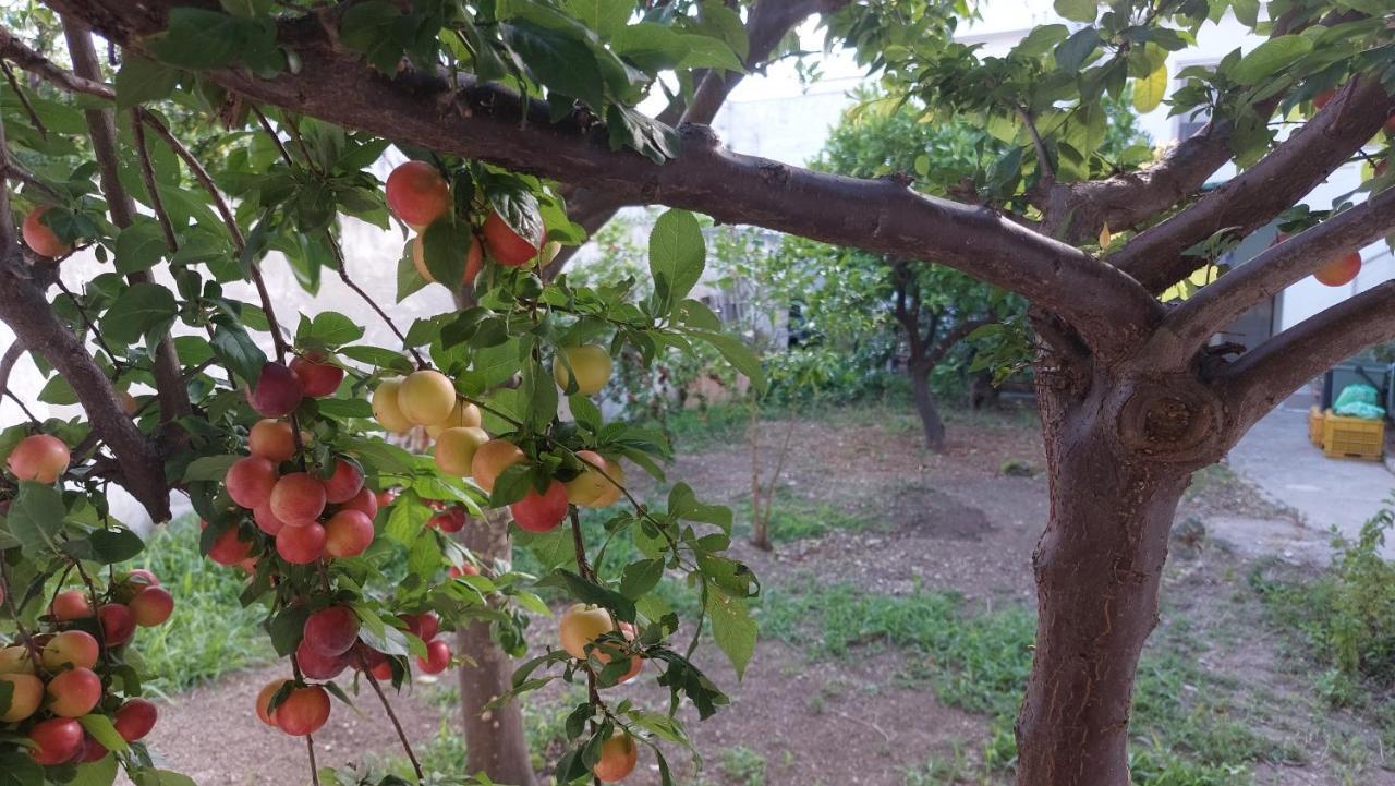 Jonia Appartamento Vacanze Vicino Al Mare Con Giardino プルサーノ エクステリア 写真