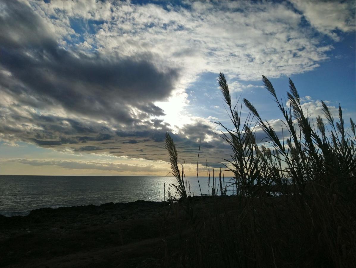 Jonia Appartamento Vacanze Vicino Al Mare Con Giardino プルサーノ エクステリア 写真