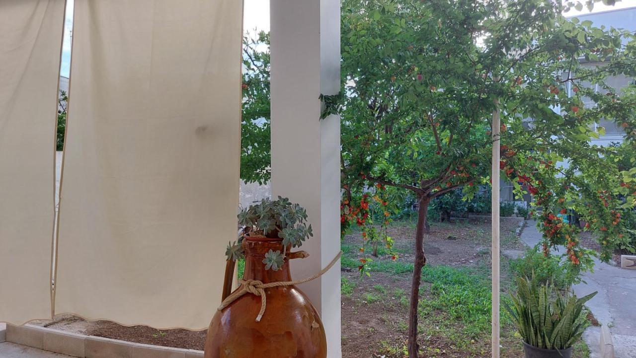 Jonia Appartamento Vacanze Vicino Al Mare Con Giardino プルサーノ エクステリア 写真