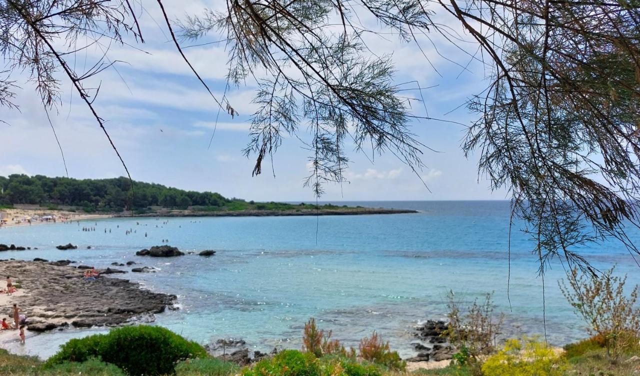 Jonia Appartamento Vacanze Vicino Al Mare Con Giardino プルサーノ エクステリア 写真