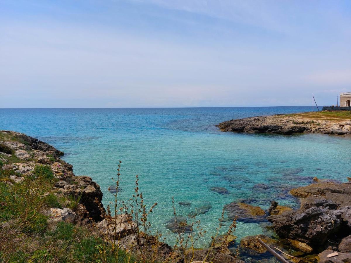 Jonia Appartamento Vacanze Vicino Al Mare Con Giardino プルサーノ エクステリア 写真