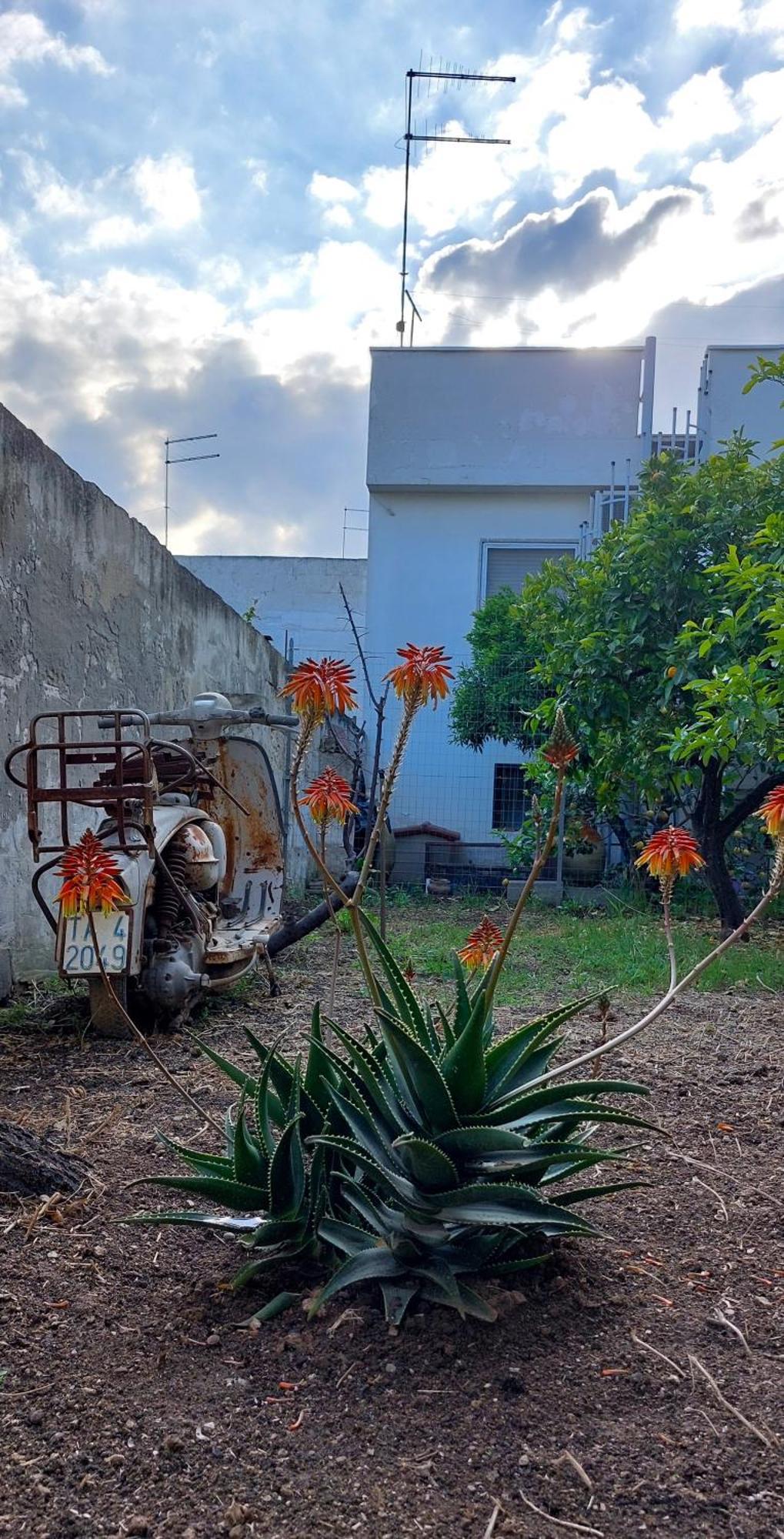 Jonia Appartamento Vacanze Vicino Al Mare Con Giardino プルサーノ エクステリア 写真